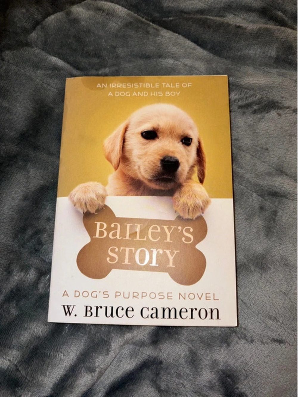Bailey’s Story
